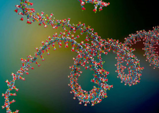 CRISPR-like tool for RNA editing could temporarily alter your proteins