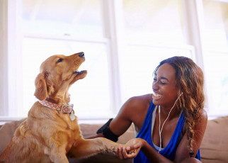Extroverts have more success training their dogs than introverts