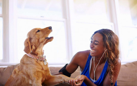 Extroverts have more success training their dogs than introverts