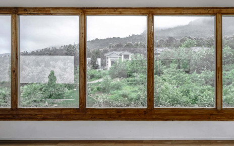 Wood can easily be turned transparent to make energy-saving windows