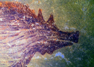 World’s oldest painting of animals discovered in an Indonesian cave