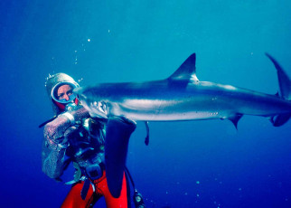 Playing With Sharks review: The amazing woman who helped film Jaws