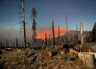 Podcast goes behind the scenes in the battle to mitigate wildfires