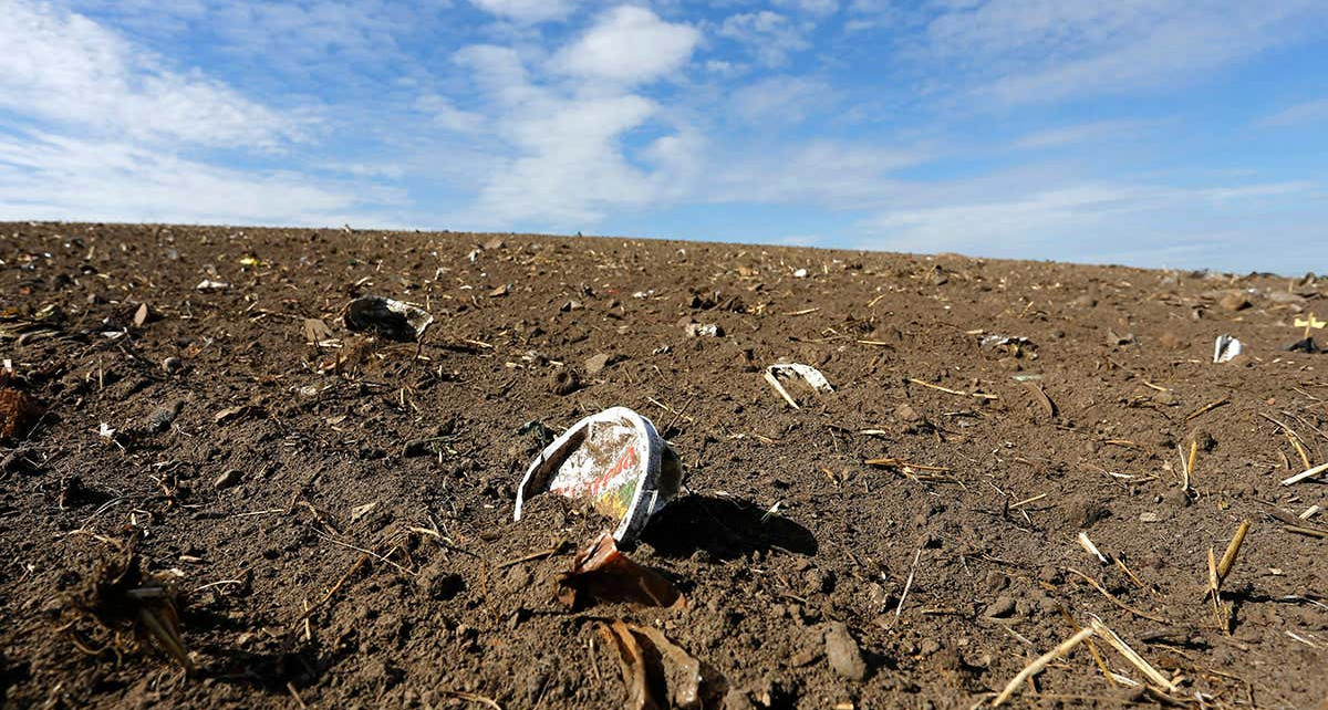 Microplastic fibres affect plants by impacting soil as much as drought