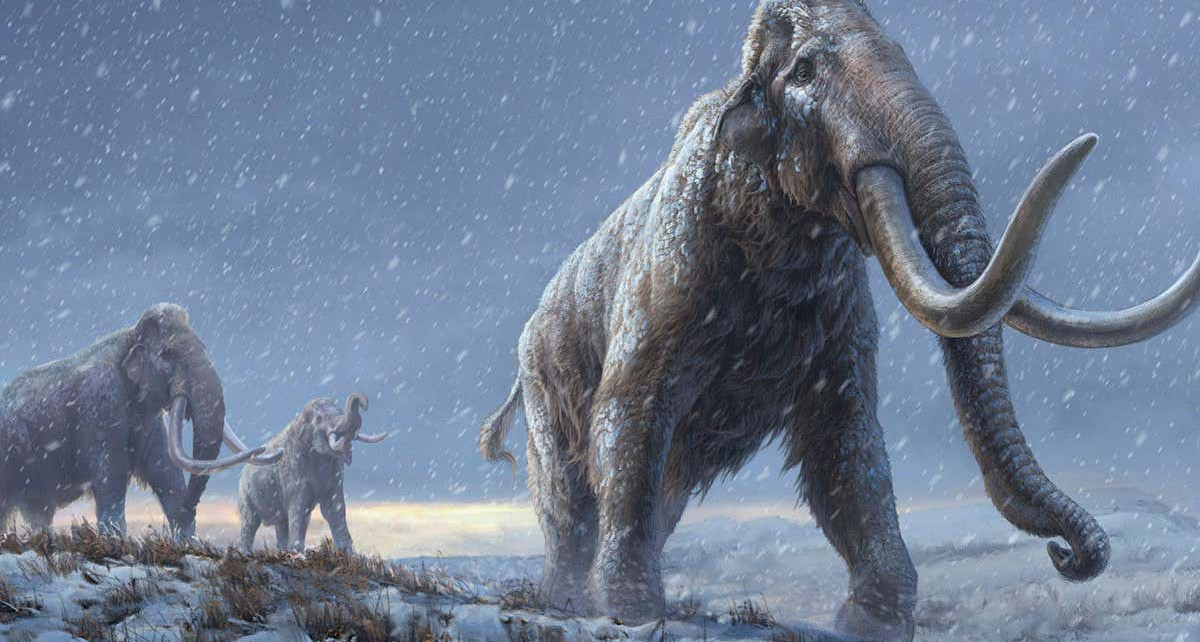 First million-year-old DNA extracted from Siberian mammoth teeth