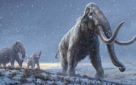 First million-year-old DNA extracted from Siberian mammoth teeth