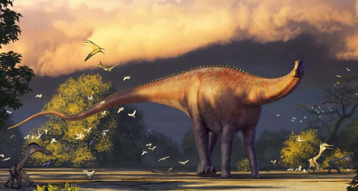 Diplodocus-like fossil in Uzbekistan hints Asia was a dinosaur hub