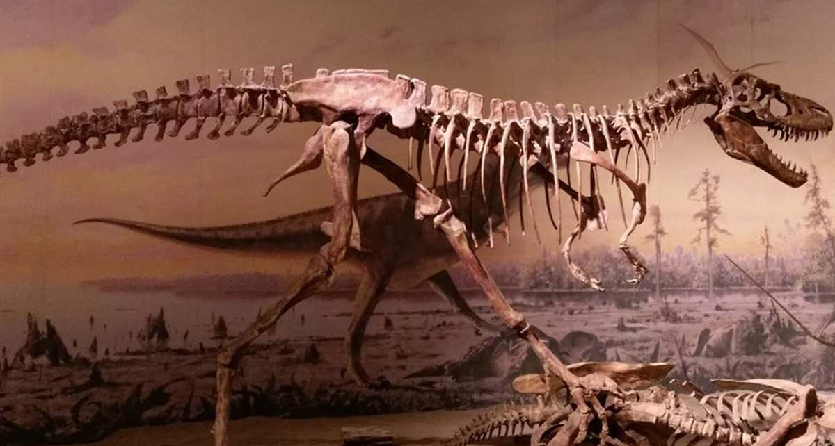 We've finally figured out why there were no medium-sized dinosaurs