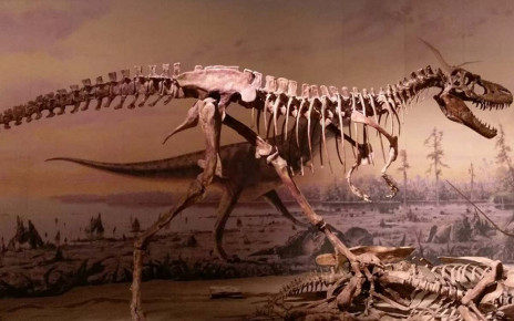 We've finally figured out why there were no medium-sized dinosaurs