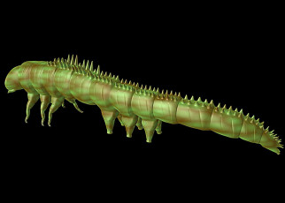Ancient caterpillar had armoured spikes to protect it from early birds