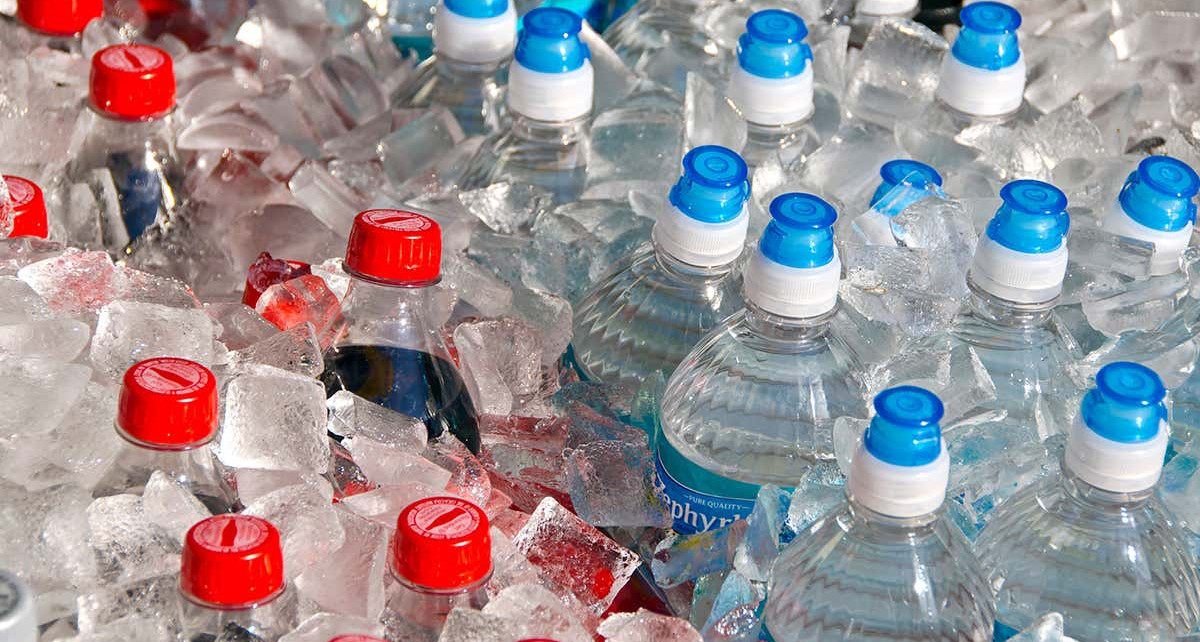 Plastic bottles holding 2.3 litres are least harmful to the planet