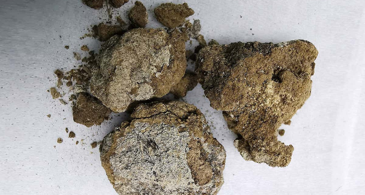 2700-year-old face cream was made from animal fat and cave ‘milk’
