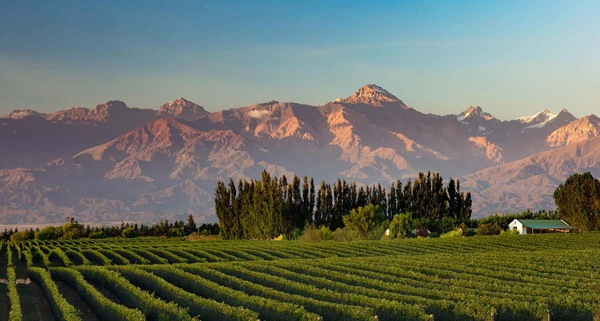 Chemical signature of Malbec wines backs up concept of ‘terroir’