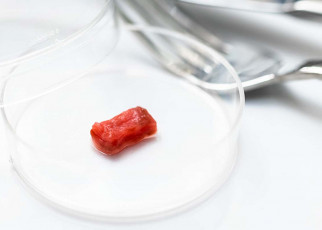 Lab-grown meat now mimics muscle fibres like those found in steak