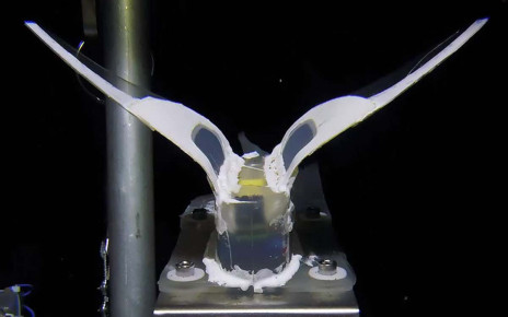 A submersible soft robot survived the pressure in the Mariana trench
