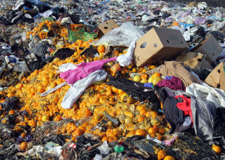 Over one-sixth of all food produced ends up being thrown in the bin