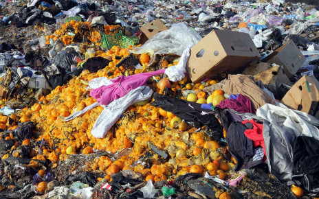 Over one-sixth of all food produced ends up being thrown in the bin