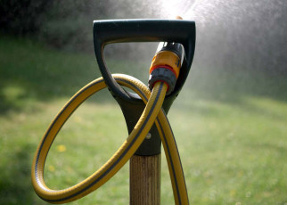 Garden hoses help explain why mammals can maintain stiff erections