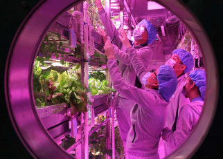 Crew of mock lunar 'biosphere' grew food and made oxygen for 200 days