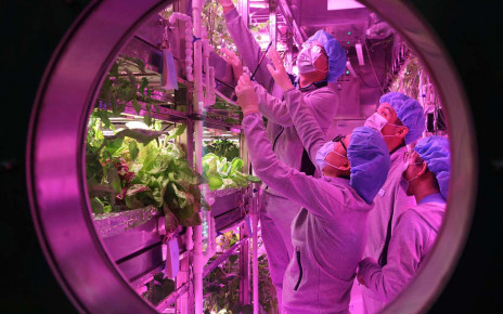 Crew of mock lunar 'biosphere' grew food and made oxygen for 200 days
