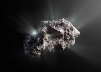 Interstellar comet Borisov is the most pristine space object ever seen