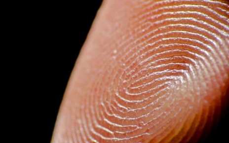 Fingerprint ridges carry nerve endings that make us hypersensitive