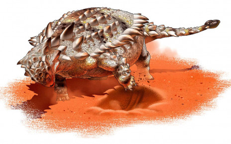 Giant armoured dinosaur may have dug in the ground for food and water