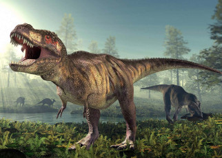 Around 2.5 billion Tyrannosaurus rex ever walked the Earth
