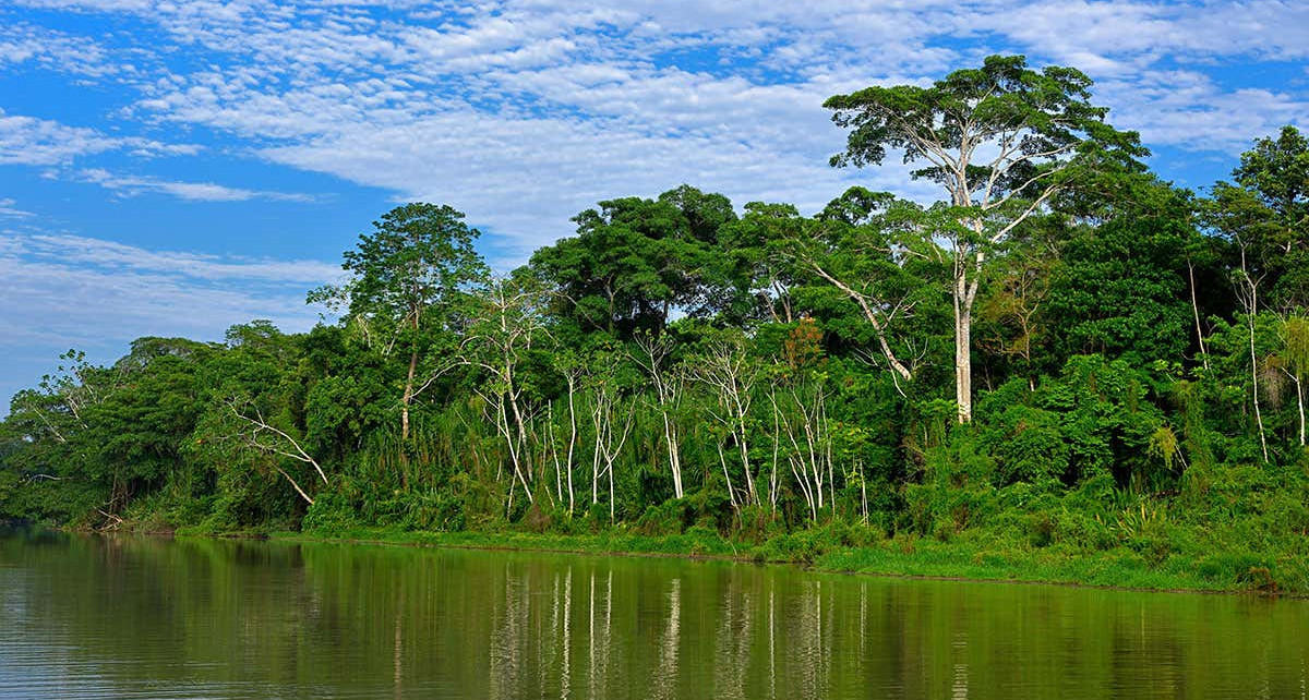 Indigenous people may have left the Amazon before Europeans arrived