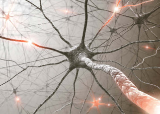 Artificial nervous system senses light and learns to catch like humans