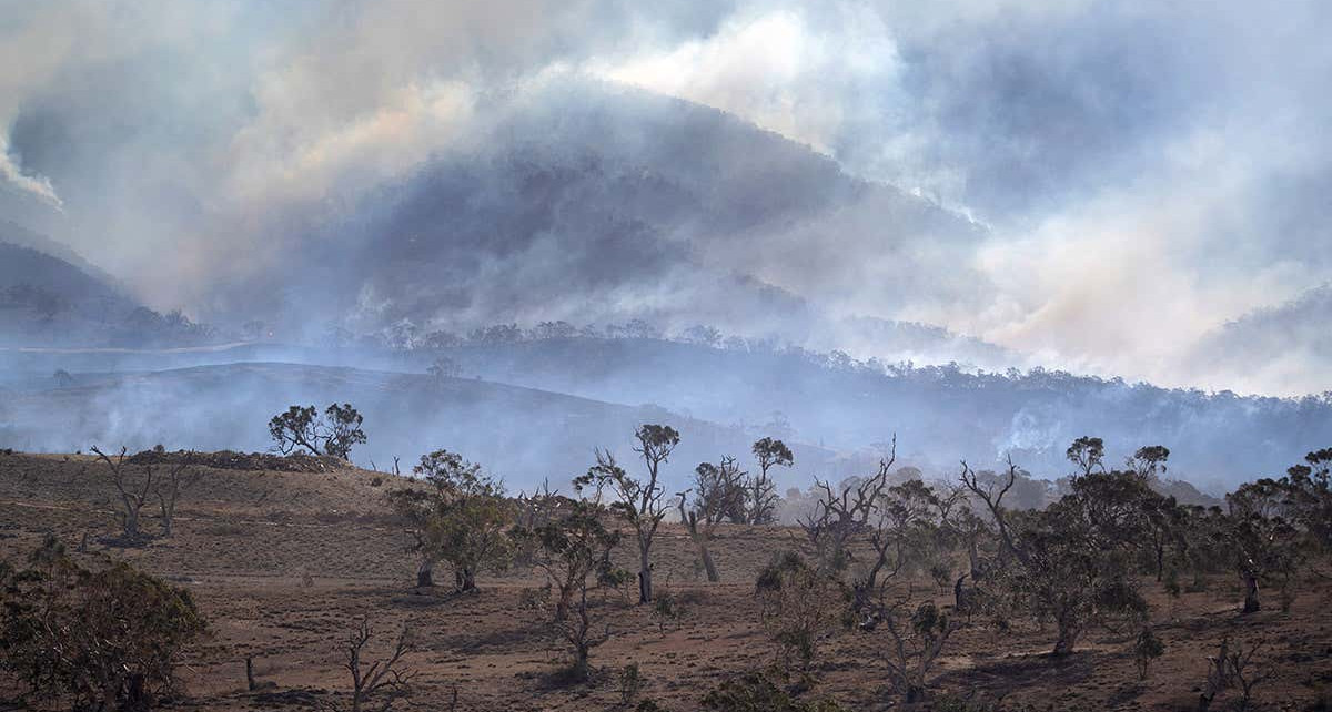 Australian bushfires warmed the stratosphere by 1°C for six months