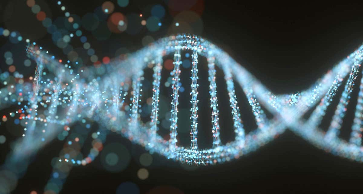 The human genome has finally been completely sequenced after 20 years