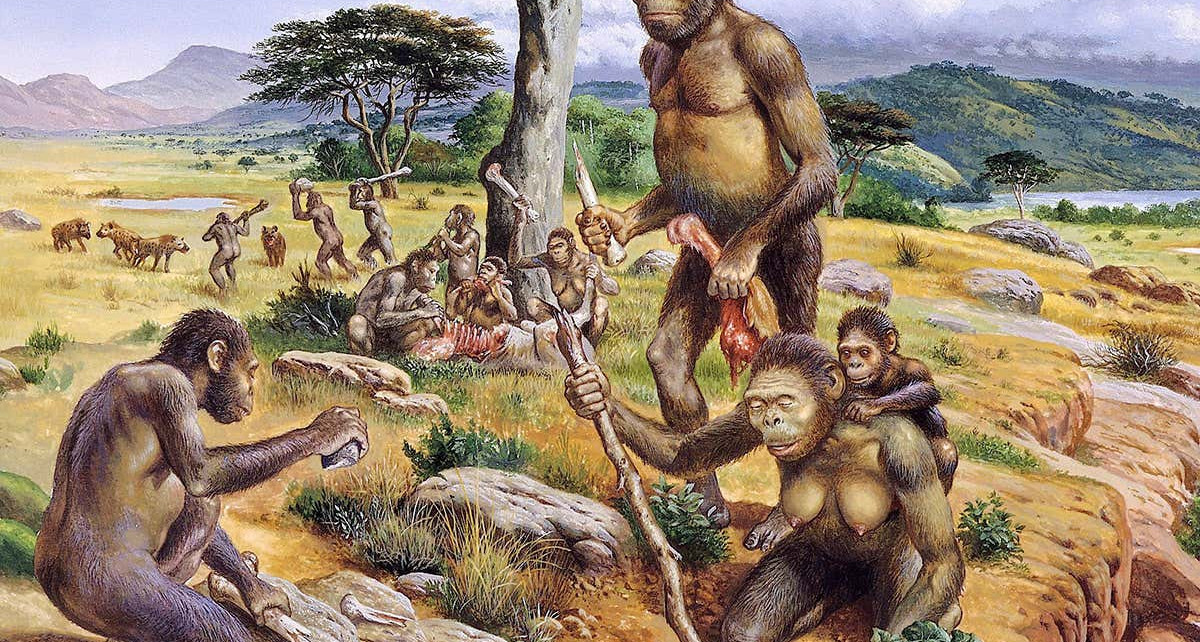 Ancient hominins may have needed midwives to help deliver babies