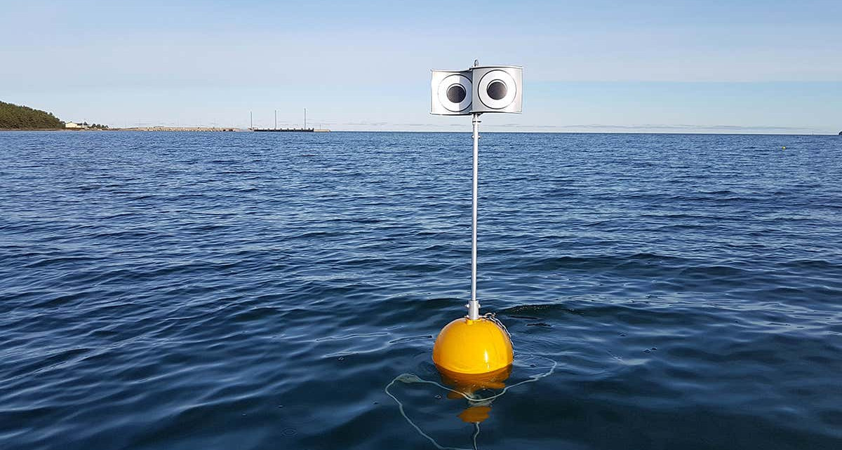 Floating googly eyes on a stick scare seabirds away from fishing nets