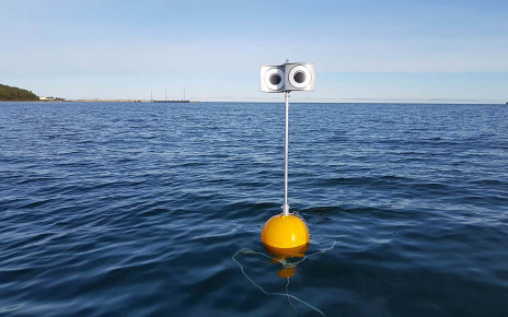 Floating googly eyes on a stick scare seabirds away from fishing nets