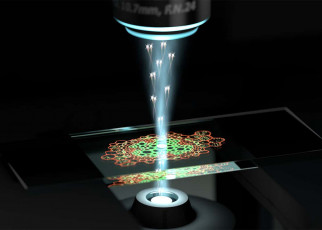 Quantum microscope can examine cells in unprecedented detail
