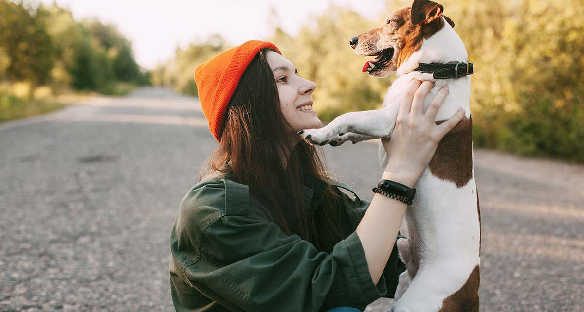 Your dog may not like you as much as you think it does