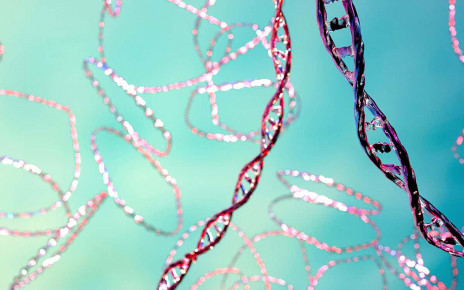 Selfish genes fight each other with DNA-destroying CRISPR systems