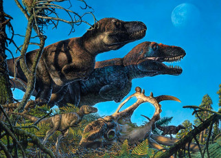 Dinosaurs lived in the Arctic around 70 million years ago
