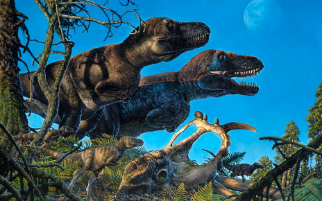 Dinosaurs lived in the Arctic around 70 million years ago