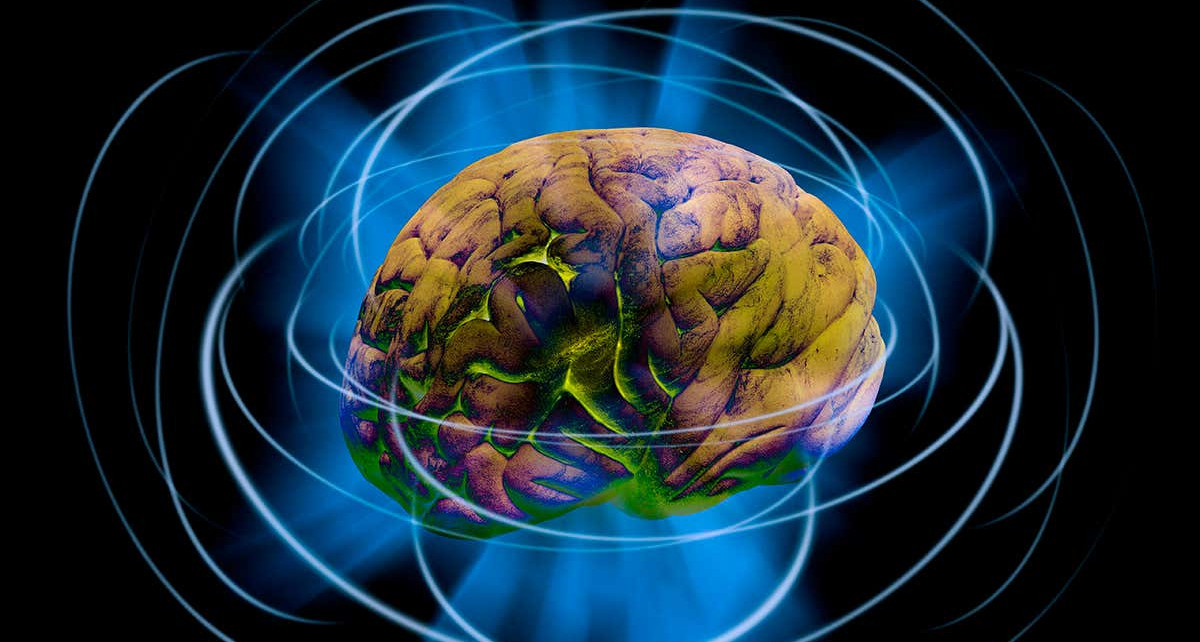 Can physics explain consciousness and does it create reality?