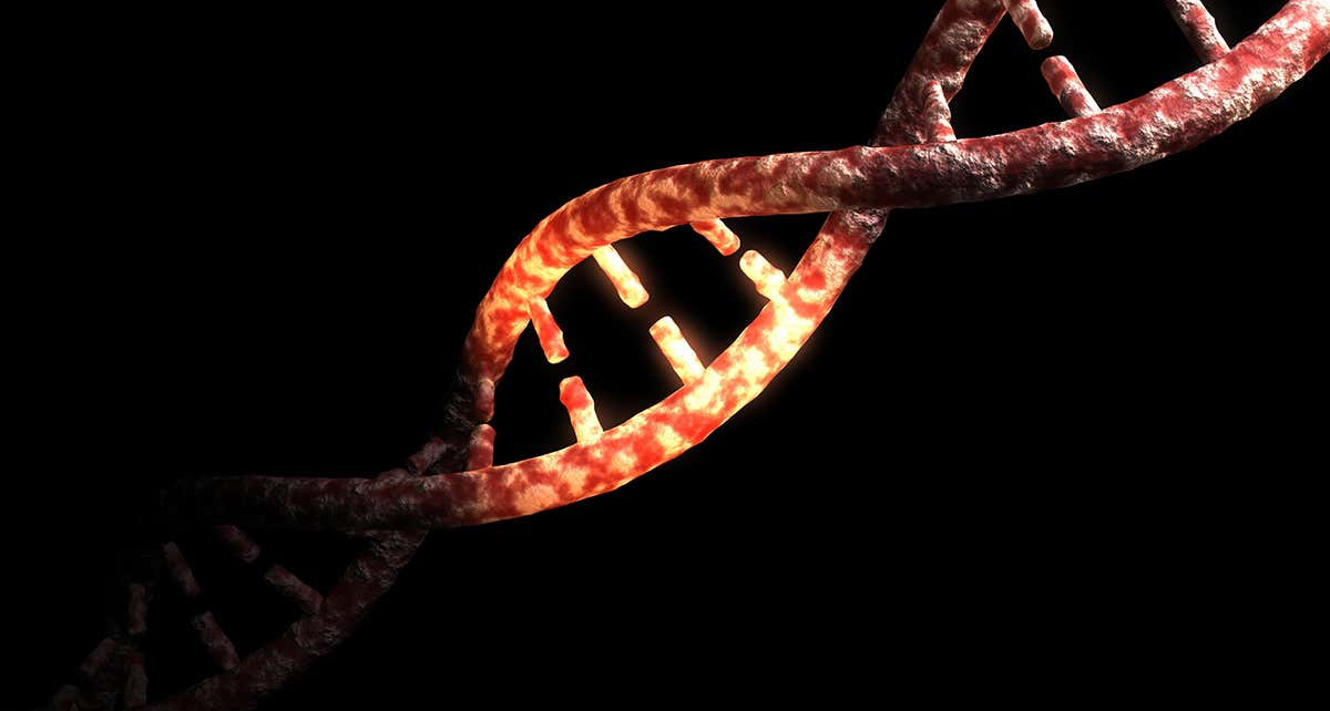 Just 1.5 to 7 per cent of the modern human genome is uniquely ours