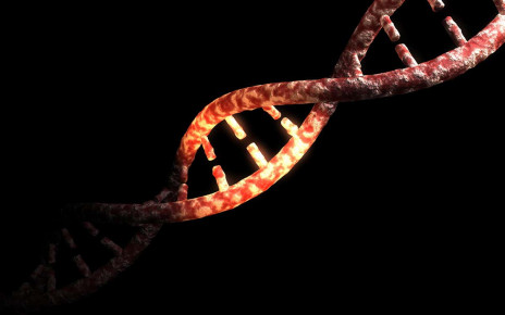 Just 1.5 to 7 per cent of the modern human genome is uniquely ours
