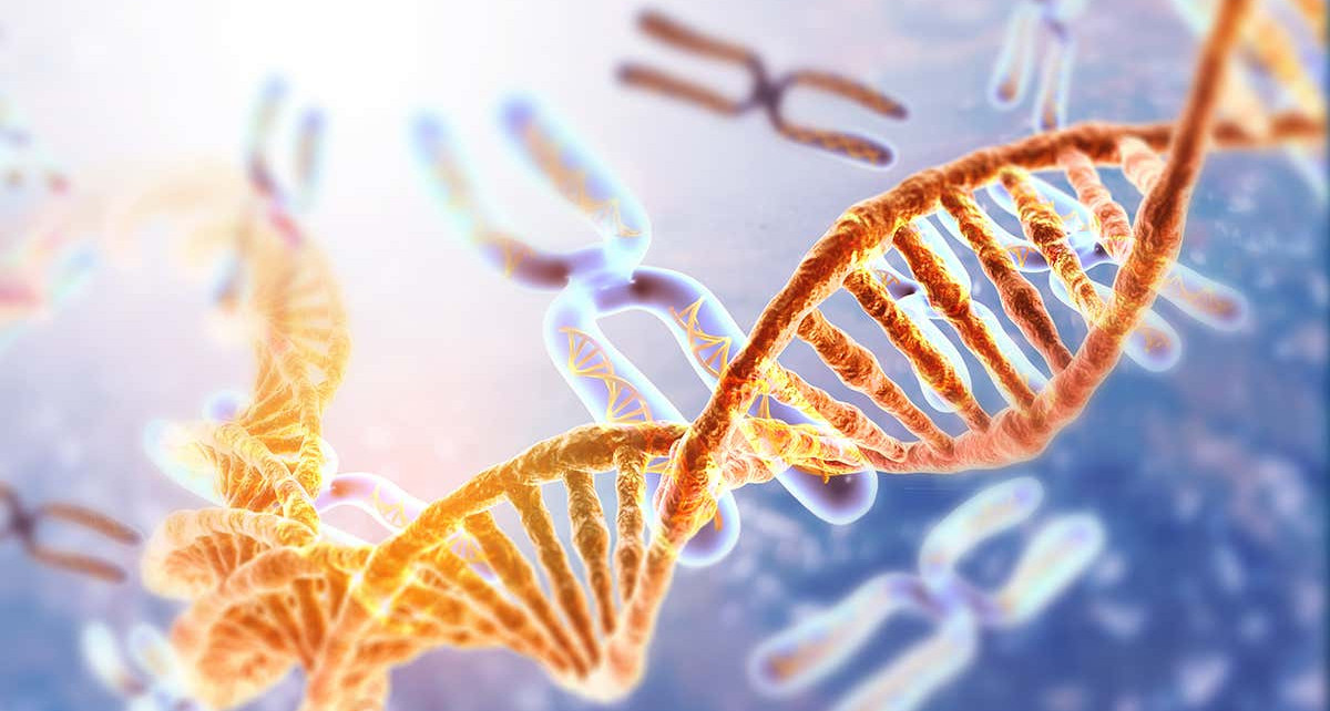 Most detailed human genome sequence yet reveals our hidden variation