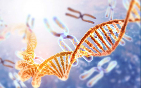Most detailed human genome sequence yet reveals our hidden variation