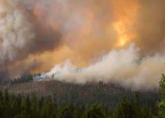 US wildfire pollution linked to more covid-19 cases and deaths