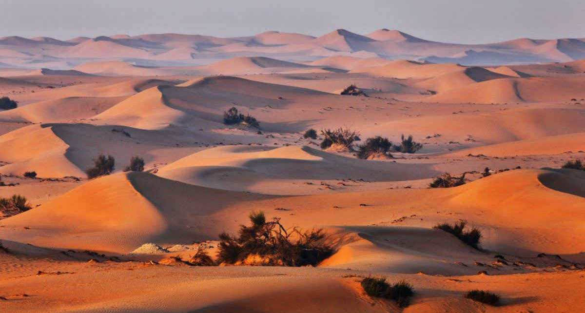 E08ERC Sand dune landscape in Arabian desert.