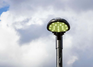 Caterpillar populations decline 50 per cent in areas with streetlights