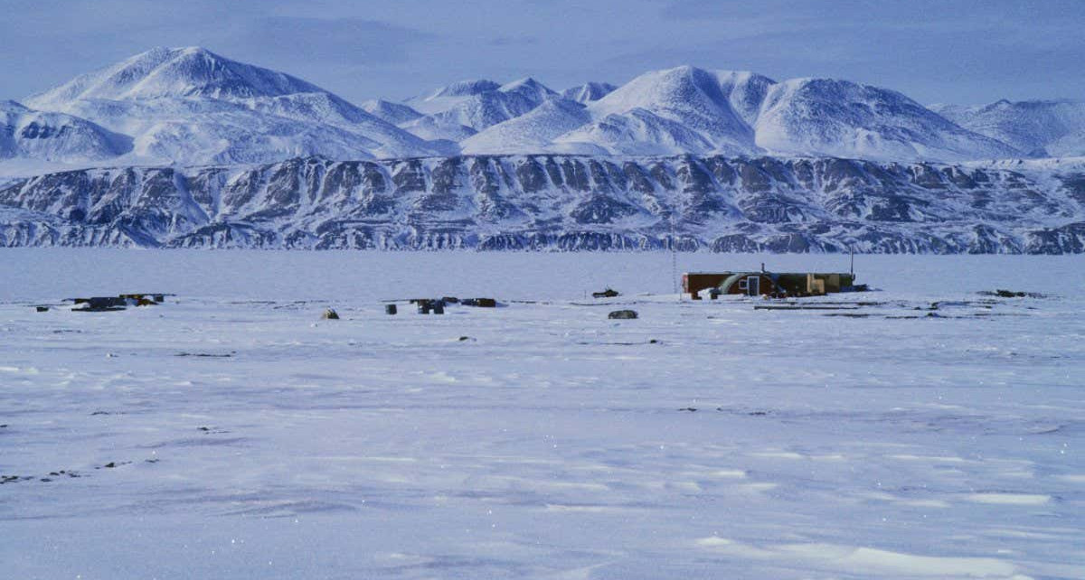Climate change linked to risk of viruses jumping species in the Arctic