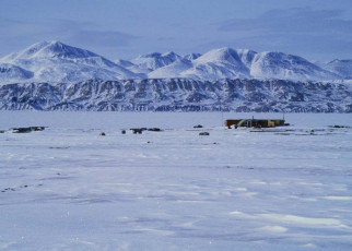Climate change linked to risk of viruses jumping species in the Arctic